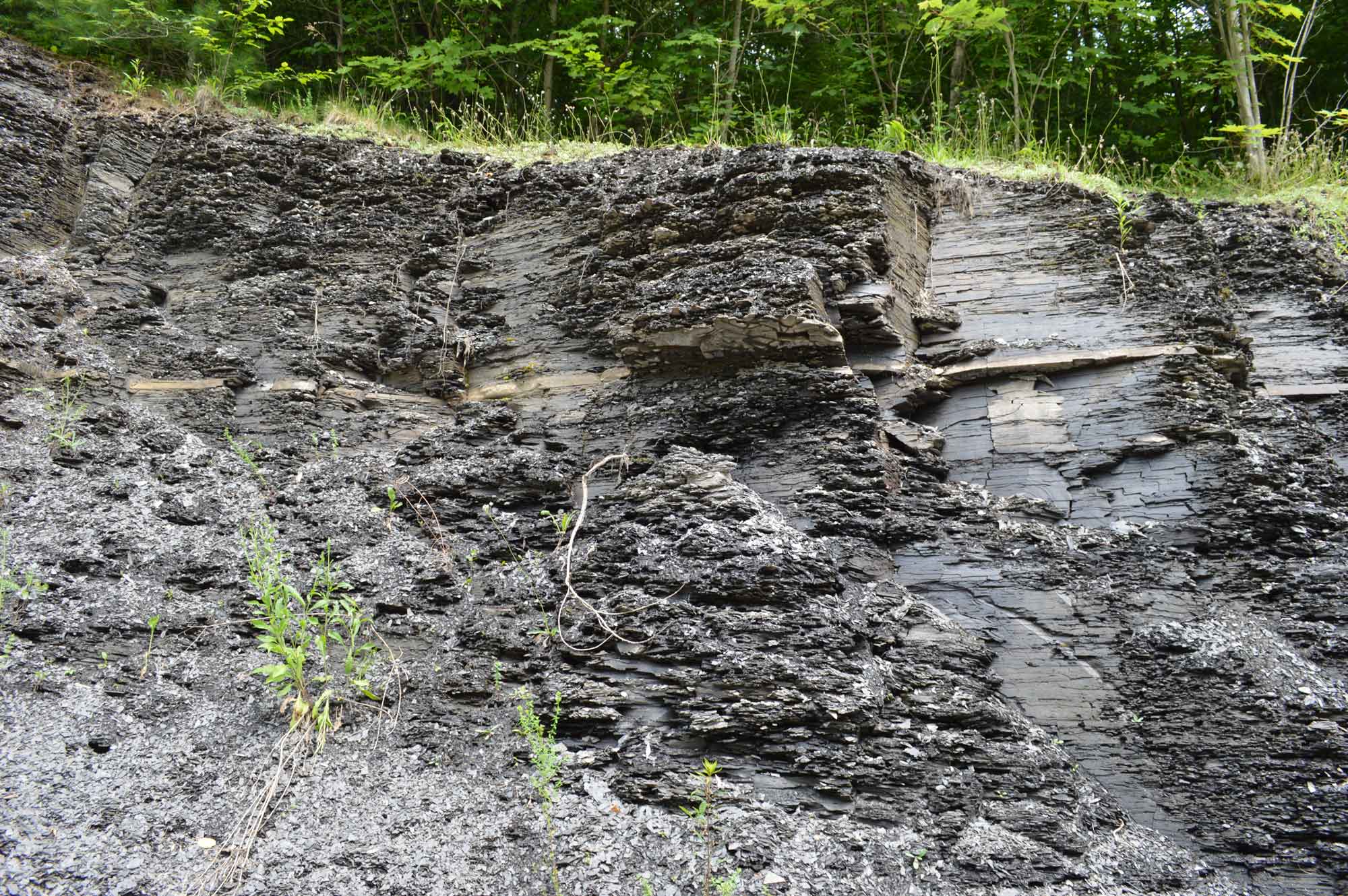 Photograph of an outcropping of the Utica Shale.