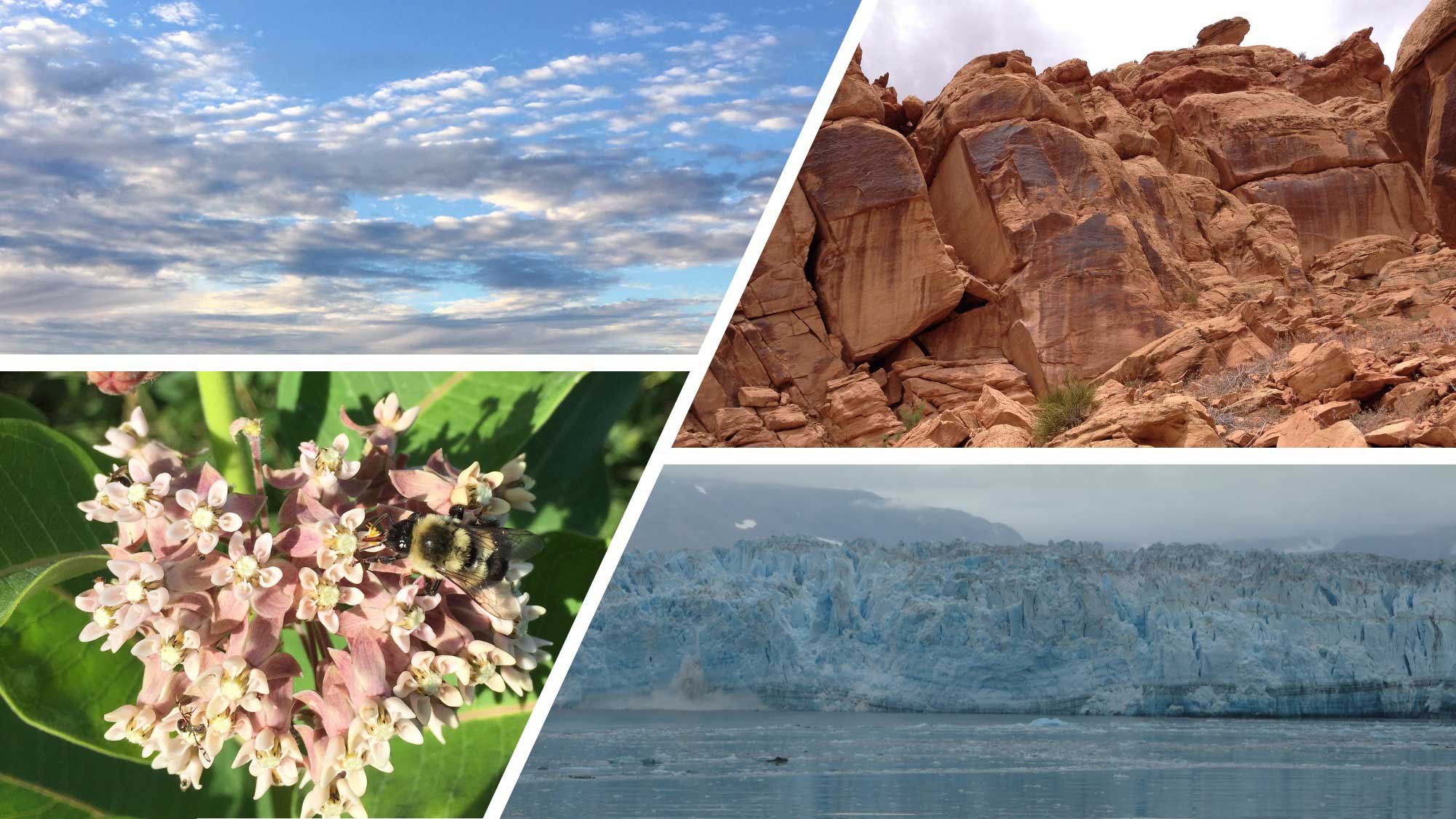 Climate is a System — EarthHome