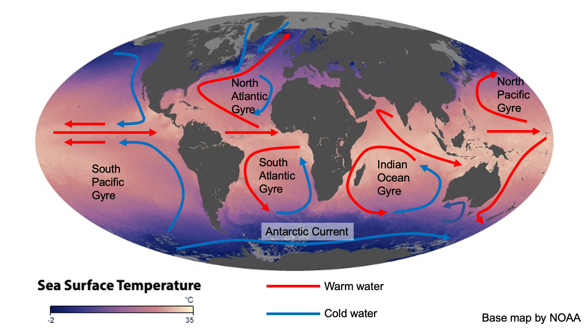 Map showing global patterns of ocean surface circulation.