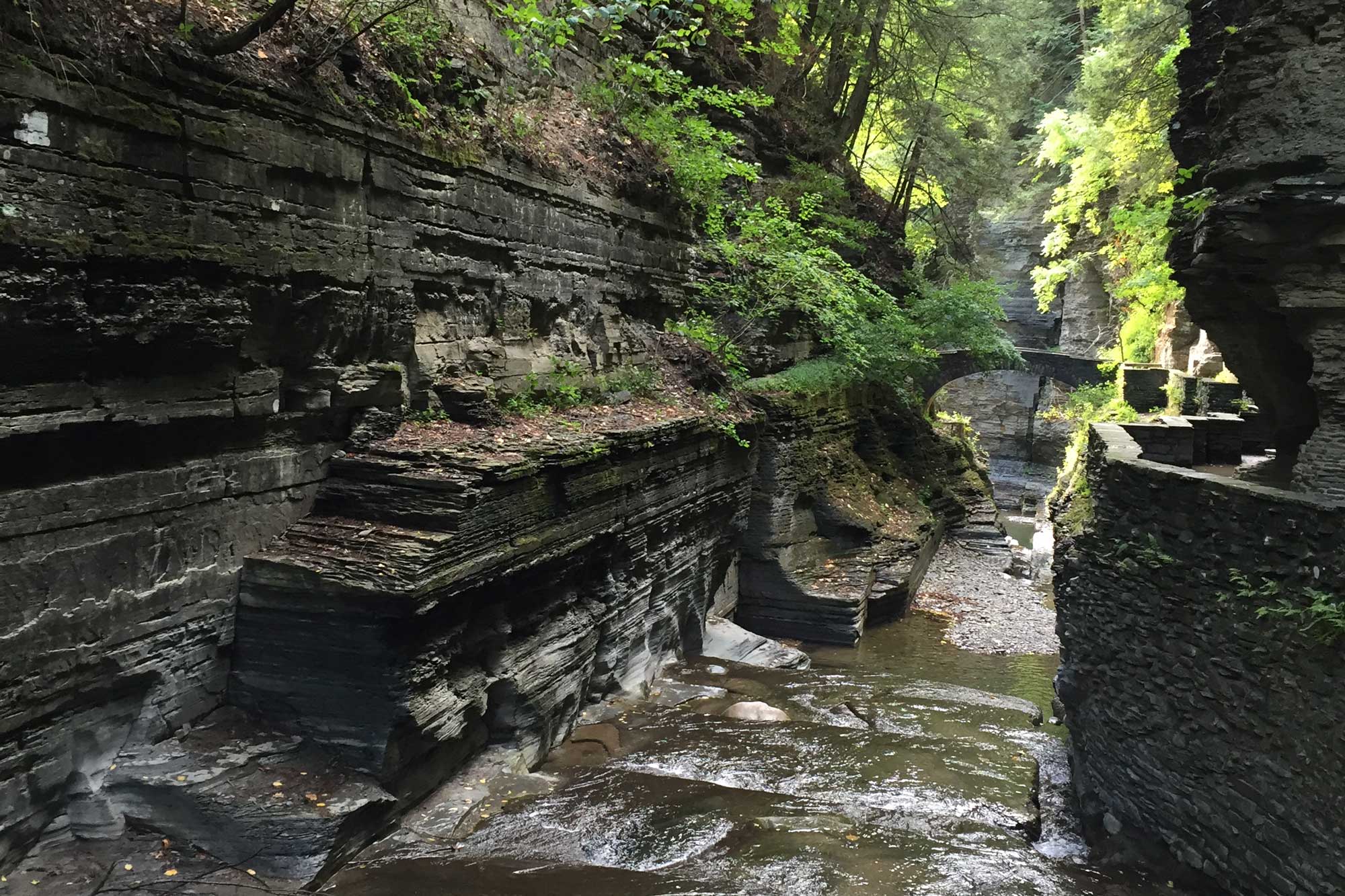 Photograph of joint surfaces preserved at Robert H. Treman State Park, Tompkins County, New York.