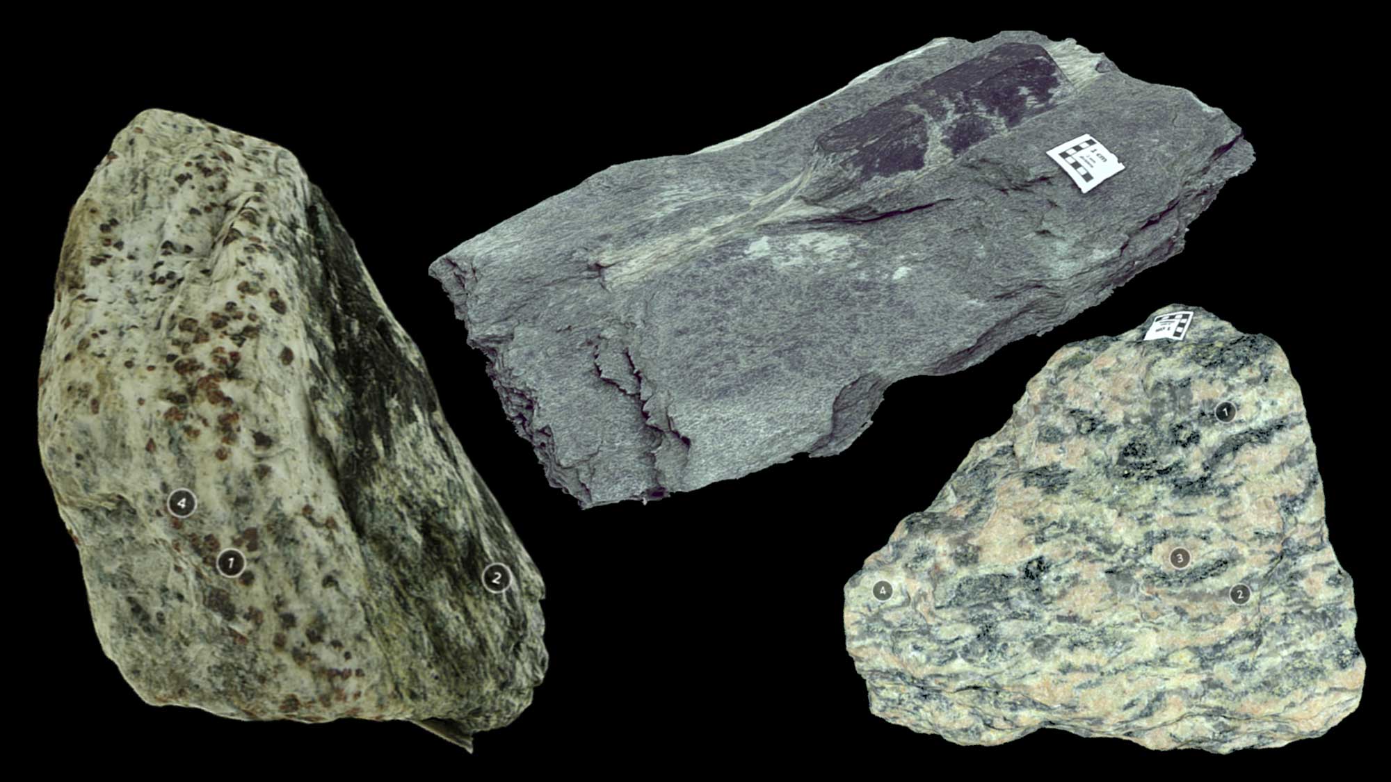 Image shows various types of foliated metamorphic rocks.
