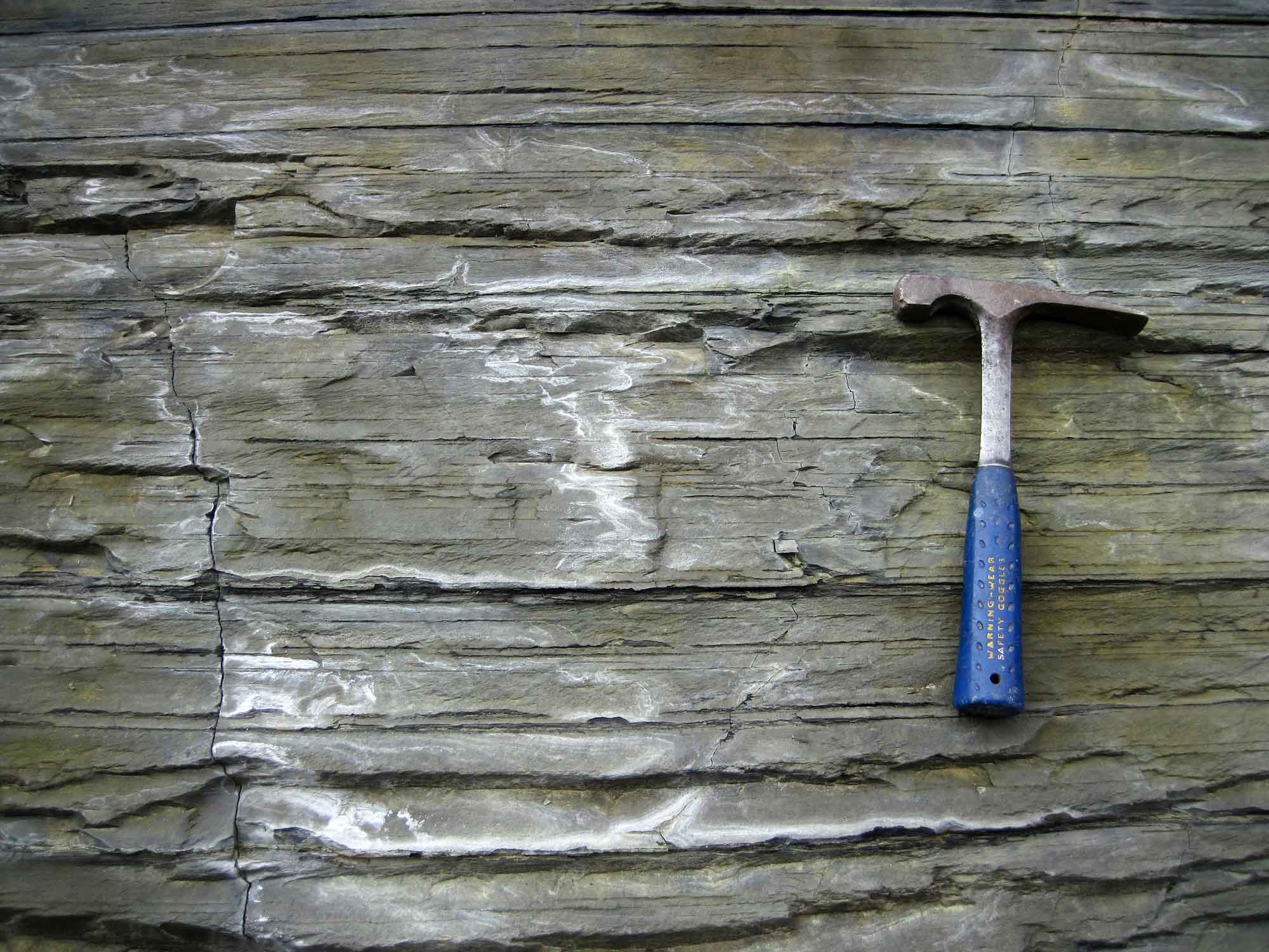 Photograph showing a close-up view of Devonian Shales from Kentucky.