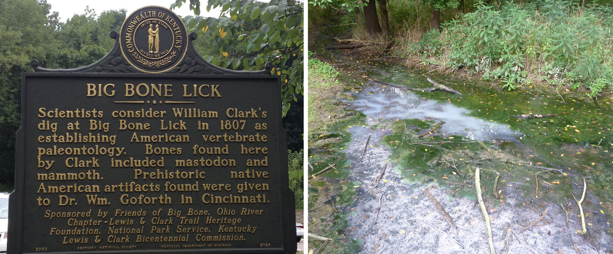 2-Panel photographic figure. Panel 1: Photo of a historical marker about Big Bone Lick: "Big Bone Lick: Scientists consider William Clark's dig at Big Bone Lick in 1807 as establishing American Vertebrate paleontology. Bones found here by Clark included mastodon and mammoth. Prehistoric native American artifacts found were given to Dr. Wm. Goforth in Cincinnati." Panel 2: Photo of a salt spring showing cloudy water caused by the presence of salt.