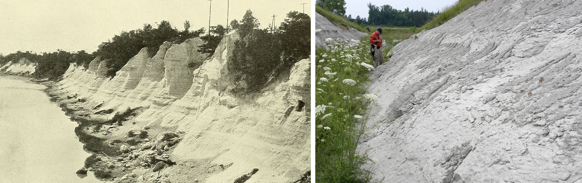 2-Panel figure showing Coastal Plain chalk deposits. Panel 1: River bluffs made up of Selma Chalk. Panel 2. Photo of an exposure of light-grey Prairie Bluff Chalk.