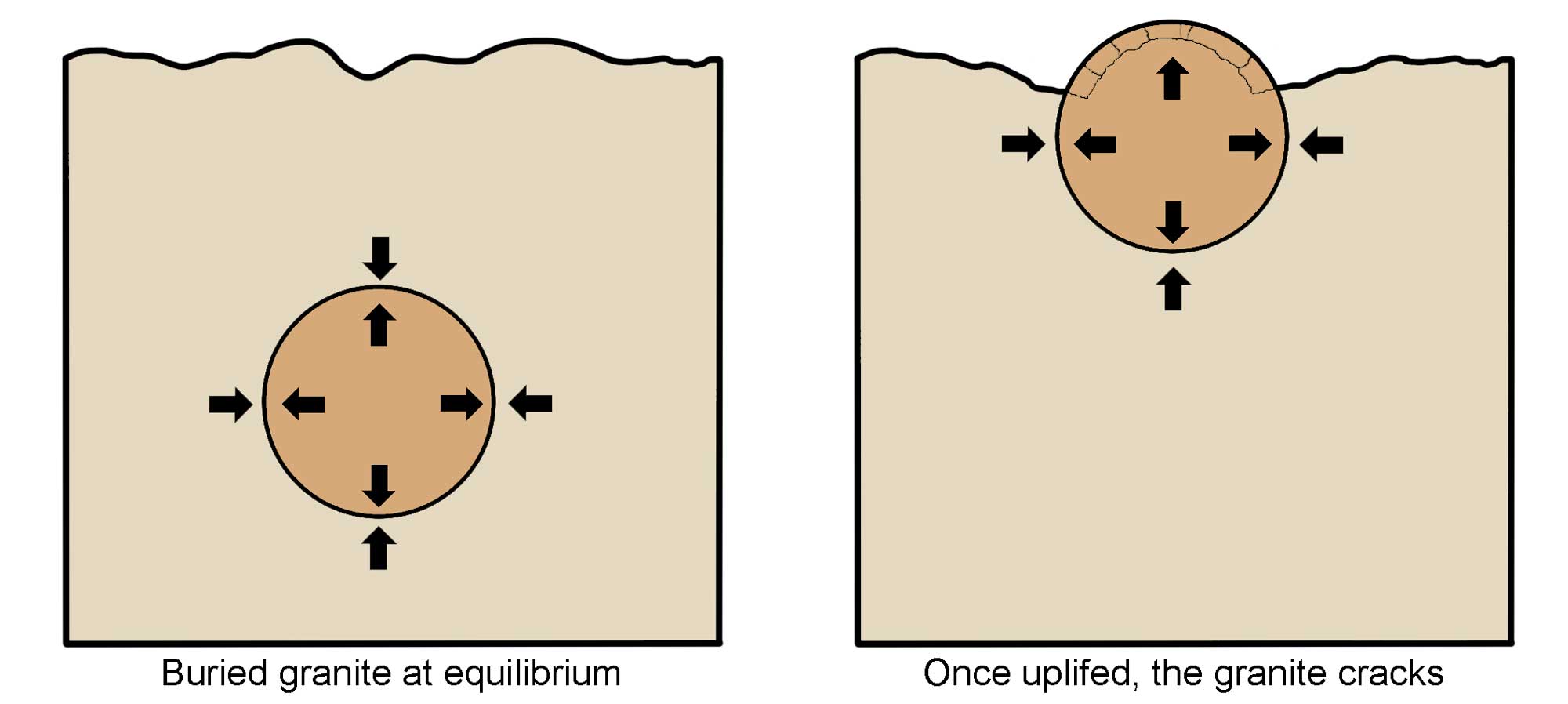 Simple diagram depicting the process of exfoliation.