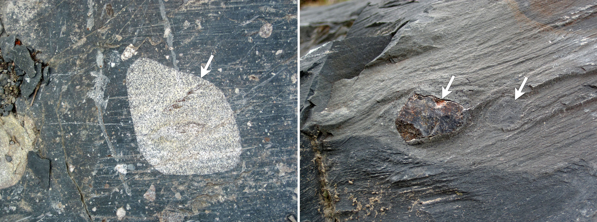 2-Panel figure showing 2.3 billion-year-old glacial deposits from Canada. Panel 1: A tillite with a large cobble. Panel 2: Argillite with dropstones.