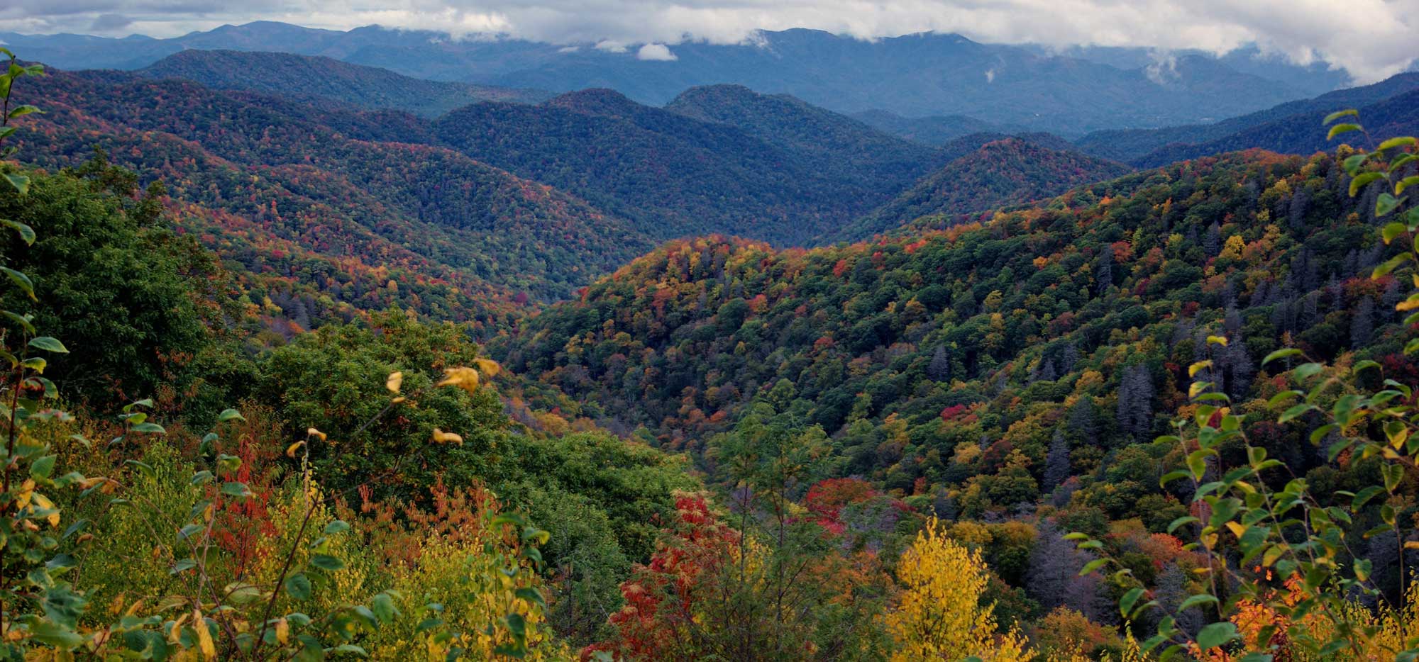 Photograph of ridges and v-shaped valleys in Great Smoky Mountains National Park.