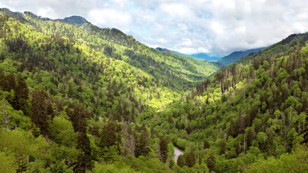 Photograph of a valley in the Great Smoky Mountains
