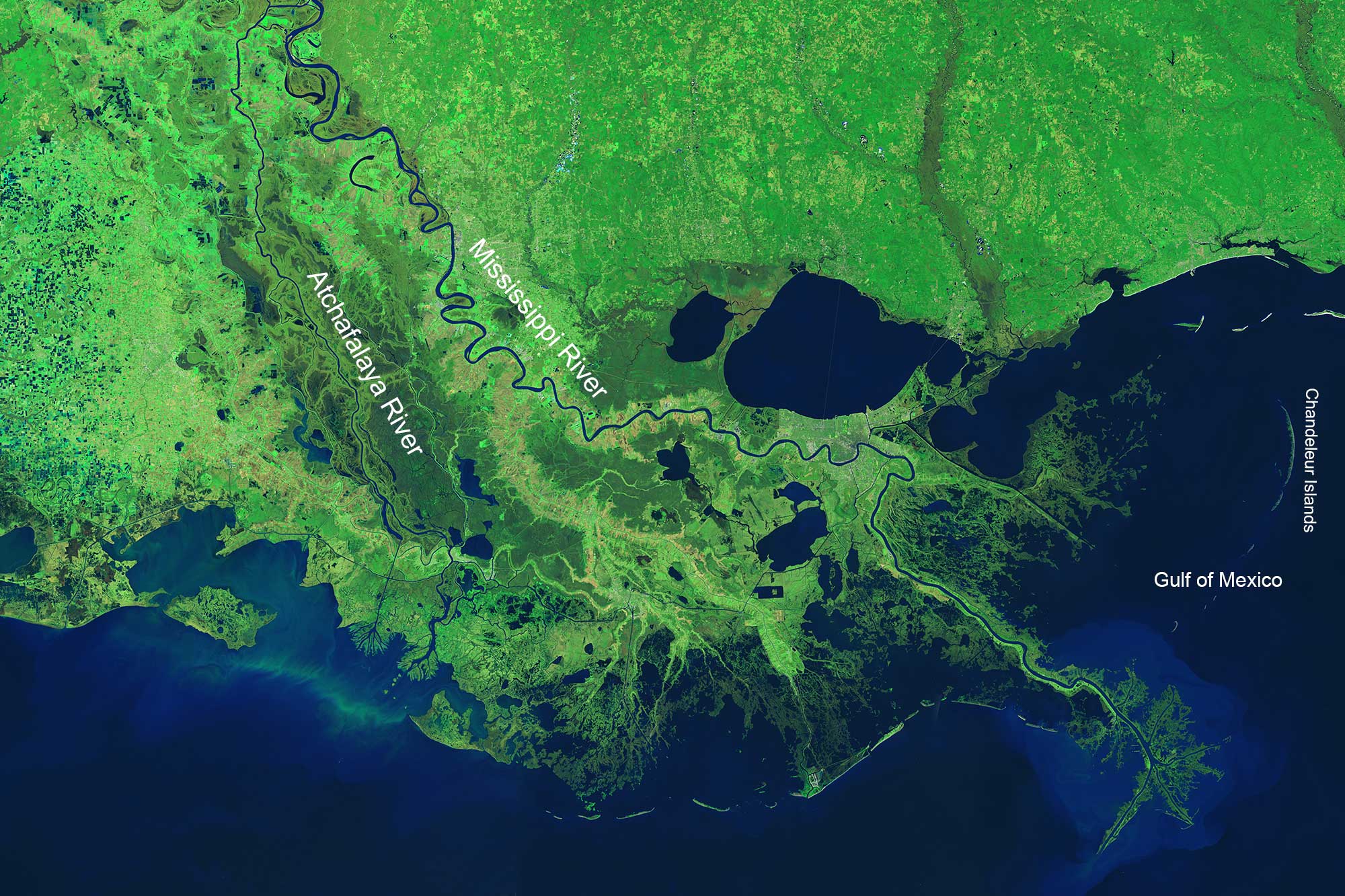 Satellite image map of the Mississippi Delta region.
