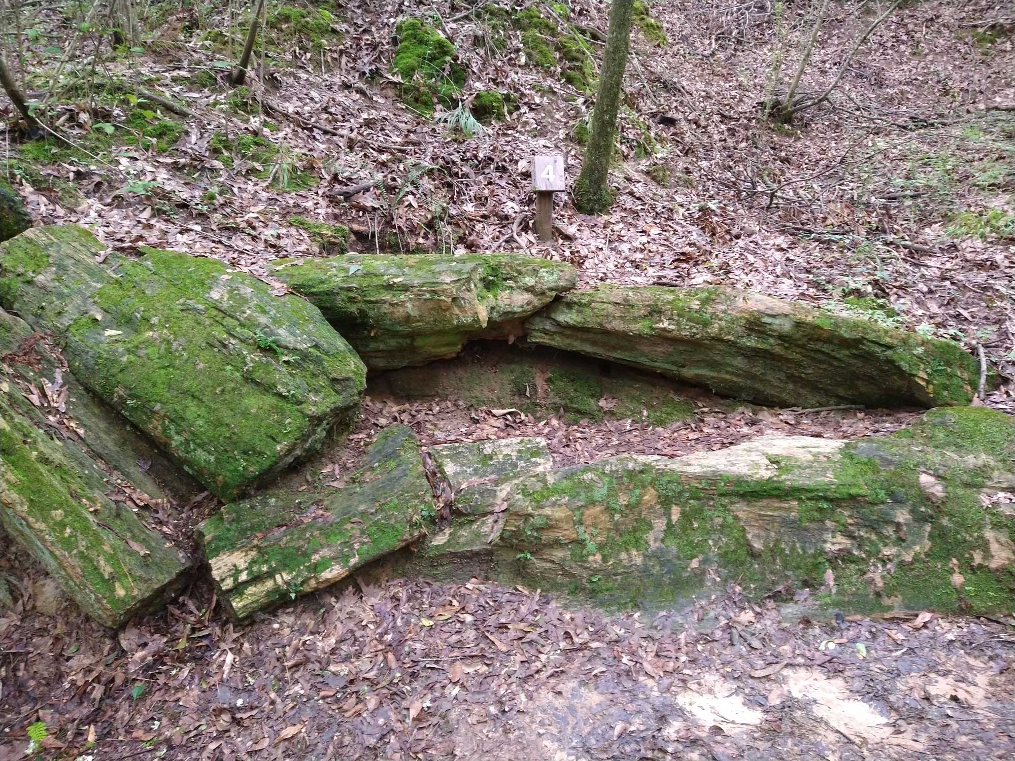 Photograph of a large petrified log covered with moss at a Paleogene petrified forest in Mississippi.