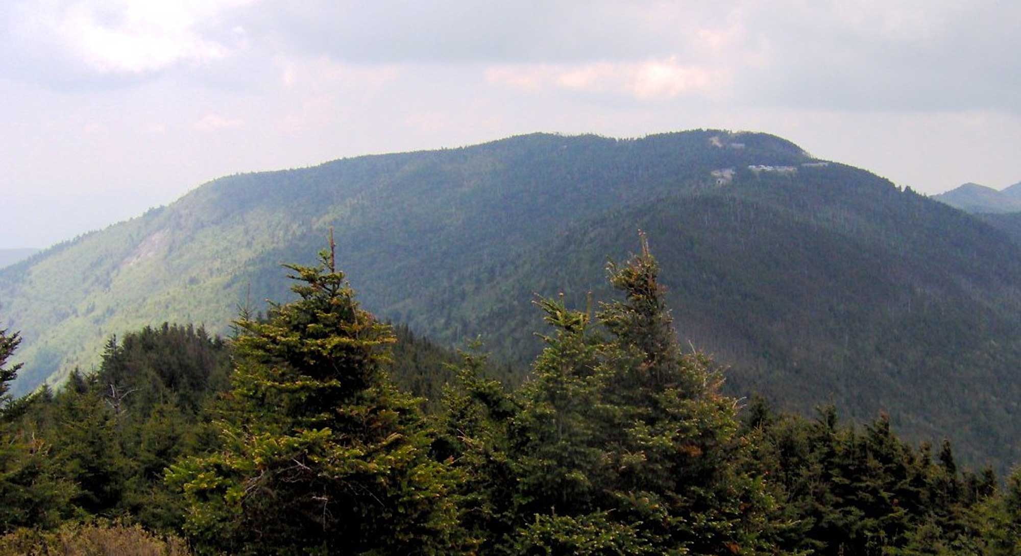 Photograph of Mount Mitchell in North Carolina.