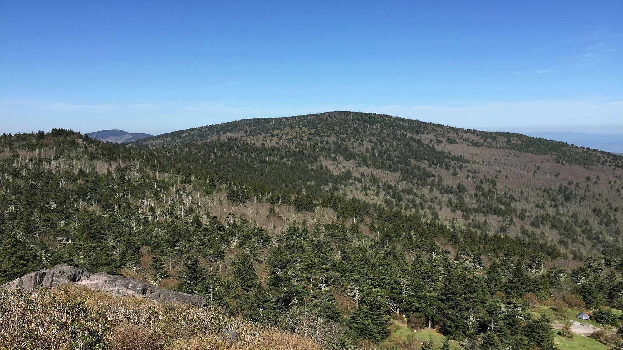 Photograph of Mt. Rogers, Virginia.