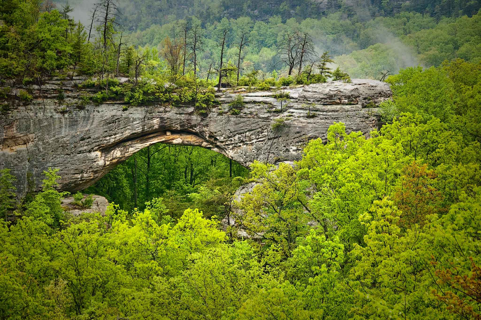 Photograph of a natural arch composed of sandstone in Kentucky.
