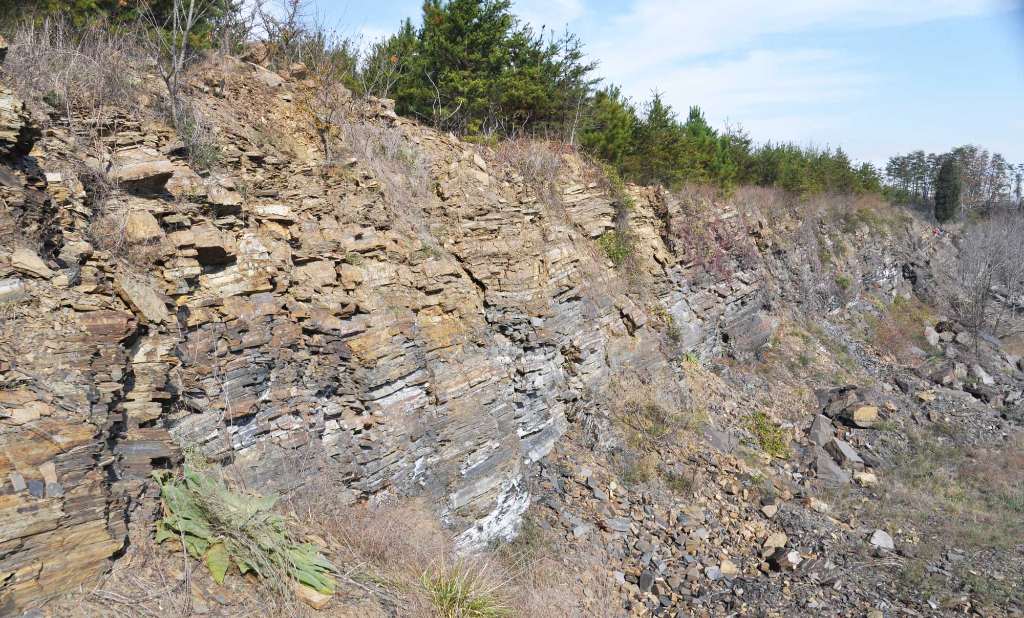 Photo of an exposure of upper Triassic rocks in a quarry on the North Carolina-Virginia border.