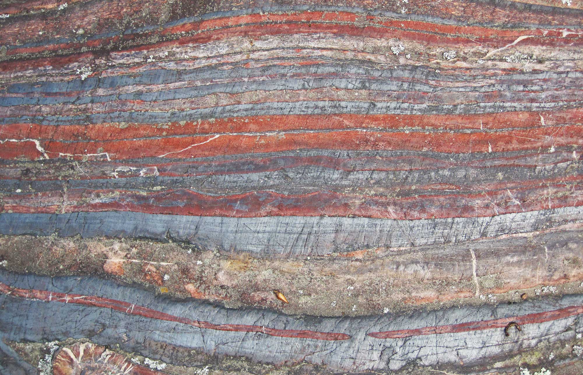 Photograph of a banded iron formation from the Archean of Minnesota.