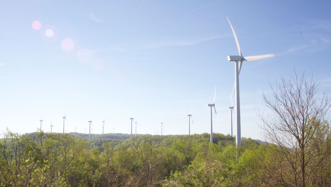 Photograph of wind turbines in a forest in Tennessee.