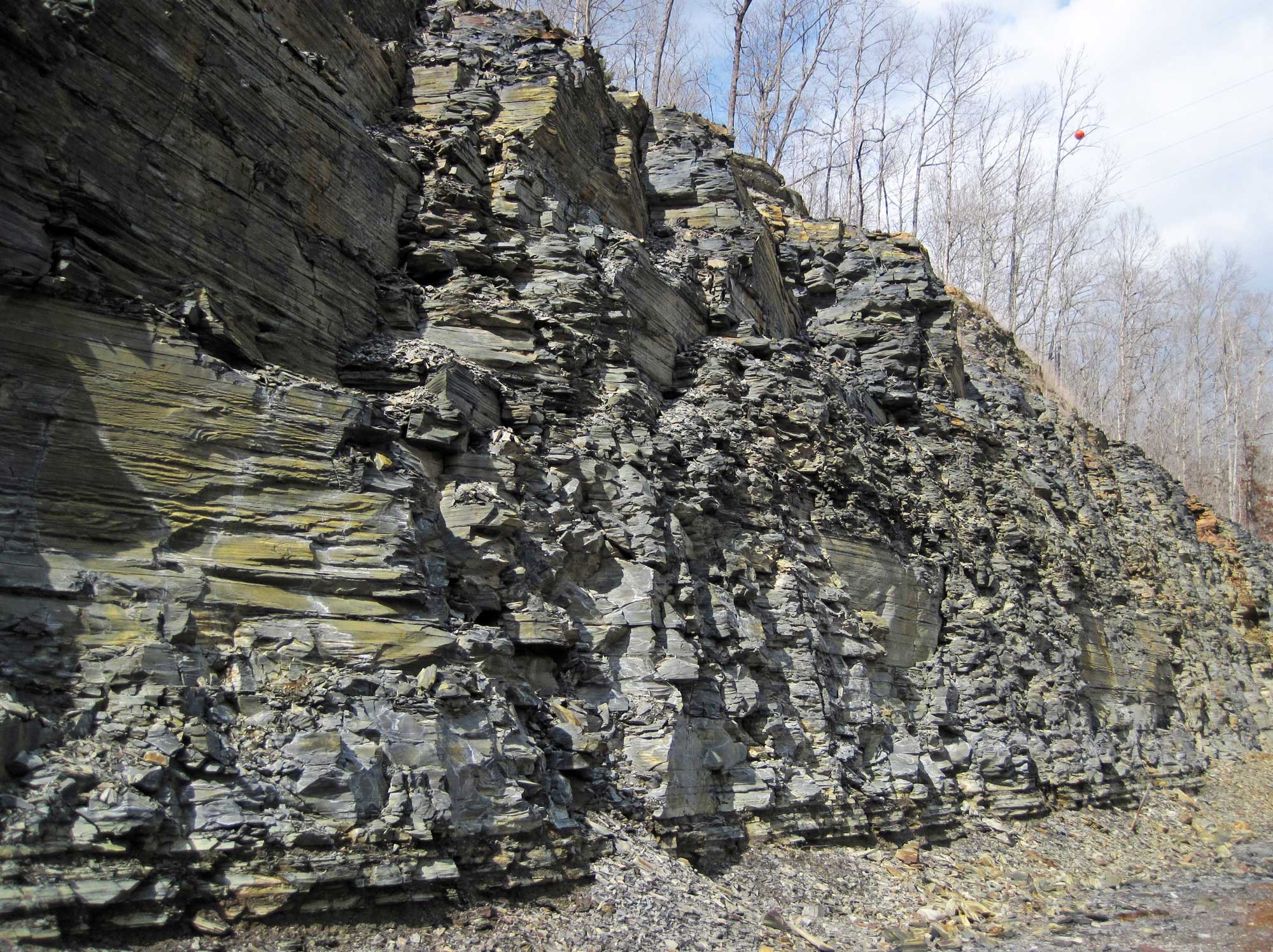 Photograph of a roadcut exposing dark-gray beds of Chattanooga shale in Kentucky.