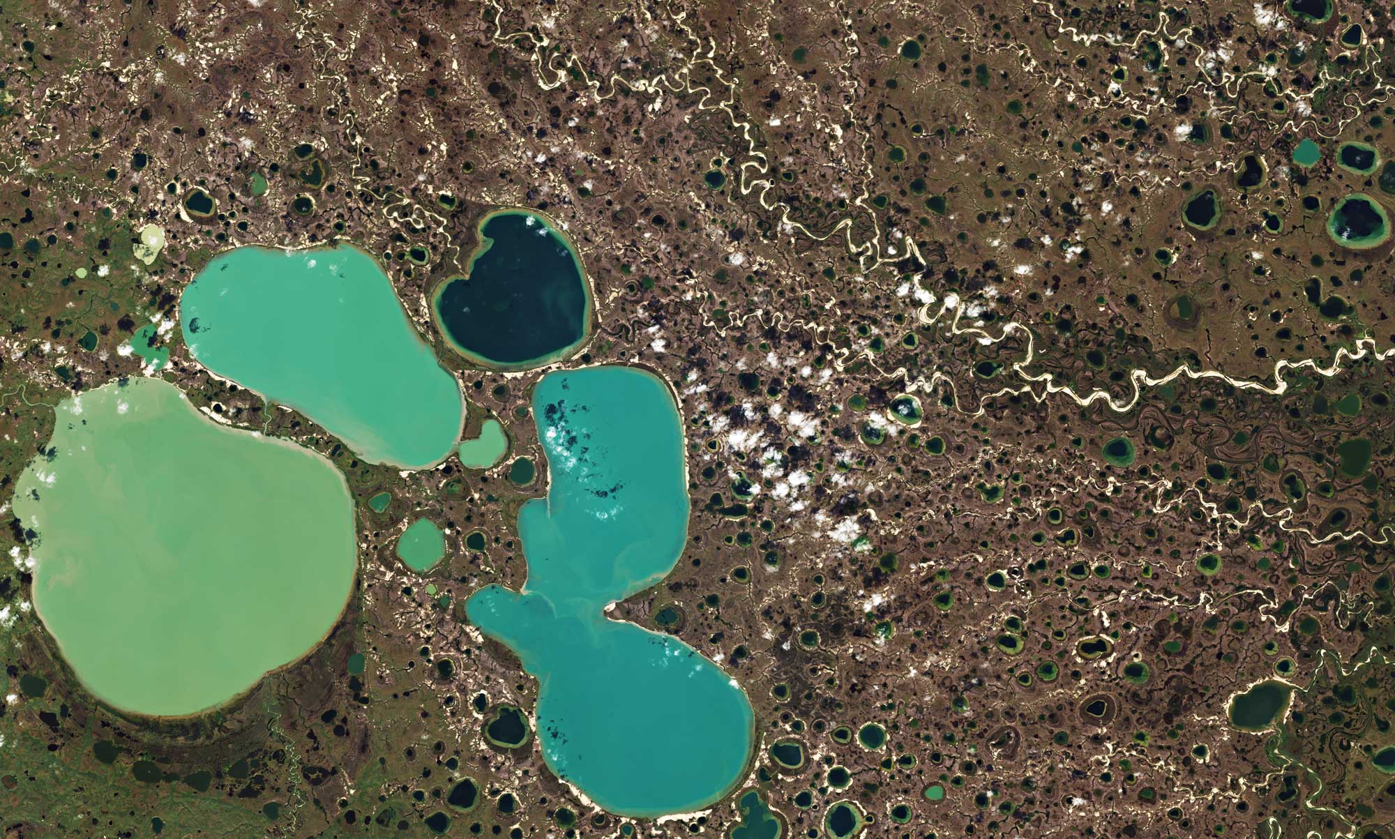 Satellite image of ponds formed by melting permafrost in Siberia.