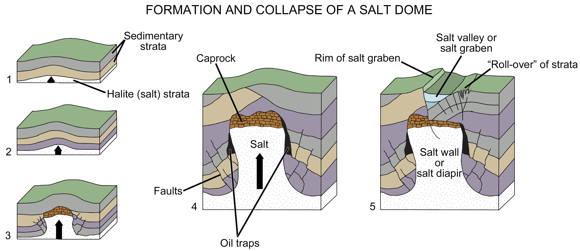 Diagrams showing the formation and collapse of a salt dome.