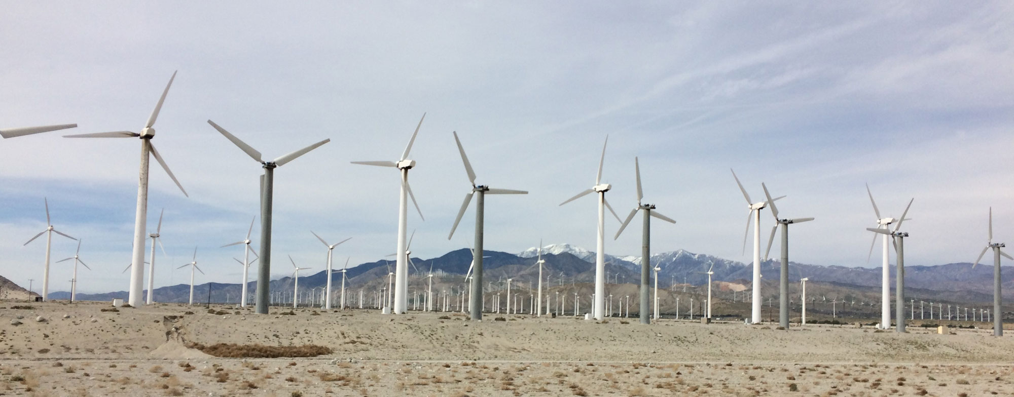Photograph of a wind farm in California.