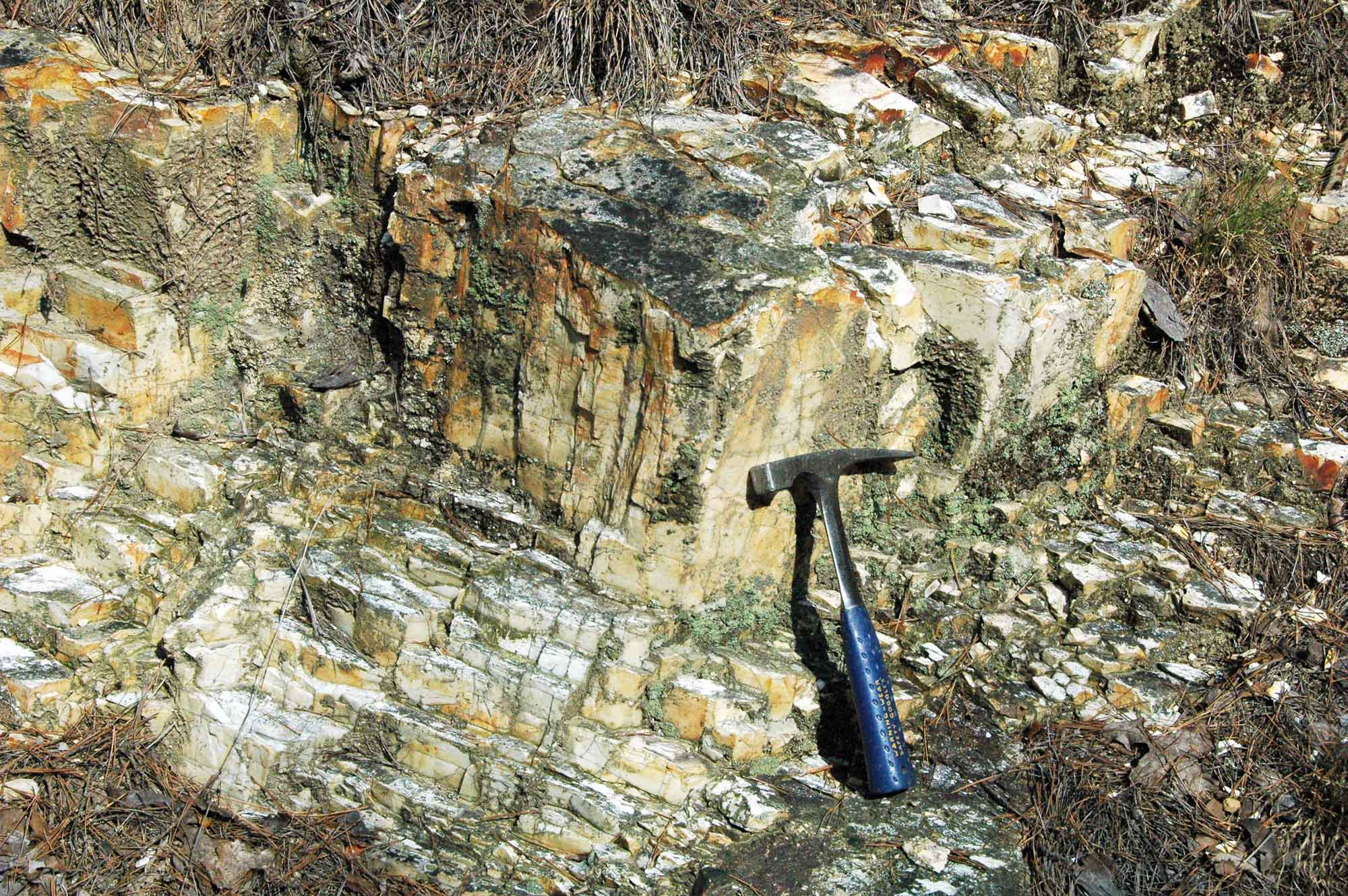 Photograph of an outcropping of Arkansas Novaculite in the ZigZag Mountains of Arkansas.