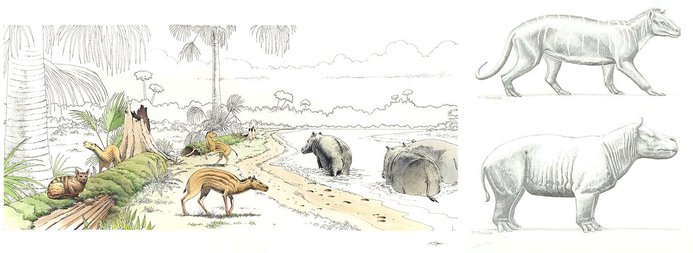 Illustrations showing reconstructions of Eocene mammals at Big Bend National Park. Panel 1: An Eocene scene with a small predator, ancient horses, and hippo-like animals in a river. Panel 2: Lateral view of Phenacodus, an odd herbivore. Panel 2: A side view of Coryphodon, an herbivore that looks somewhat like a hippo.