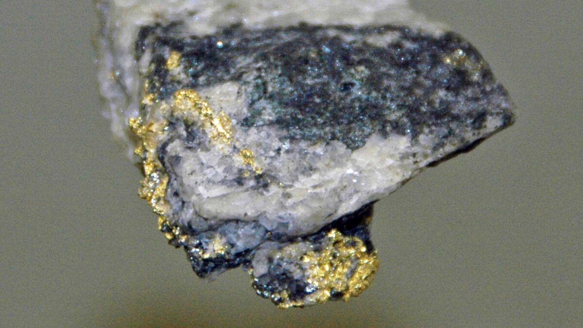 Photograph of a rock sample from Georgia's Dahlonega Mining District showing gold veining.