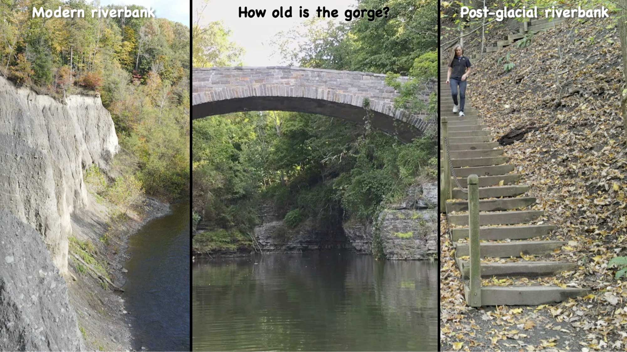 Three photographs that each show stream banks of different ages along Fall Creek Gorge.