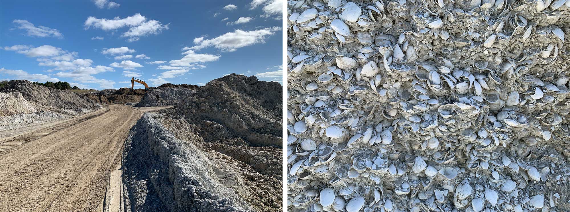 Image showing a photograph of an active aggregate quarry in Florida and a photograph of some of the fossil shells that are being quarried.