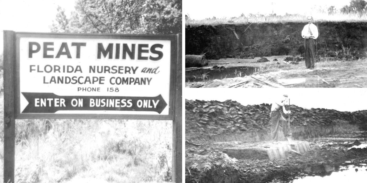 3-Panel images showing black and white historical photographs of peat mining in Florida, 1940s. Panel 1 (left): Sign showing direct of peat mines. Panel 2 (top right): Man standing in peat excavation pit. Panel 3 (bottom right): Man digging chunks of peat with a spade.