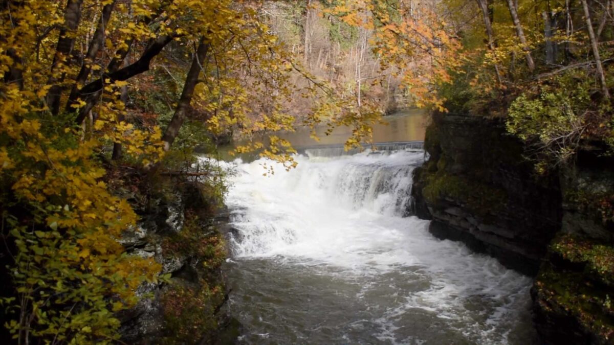 Photograph of a waterfall along Fall Creek near Ithaca, New York.