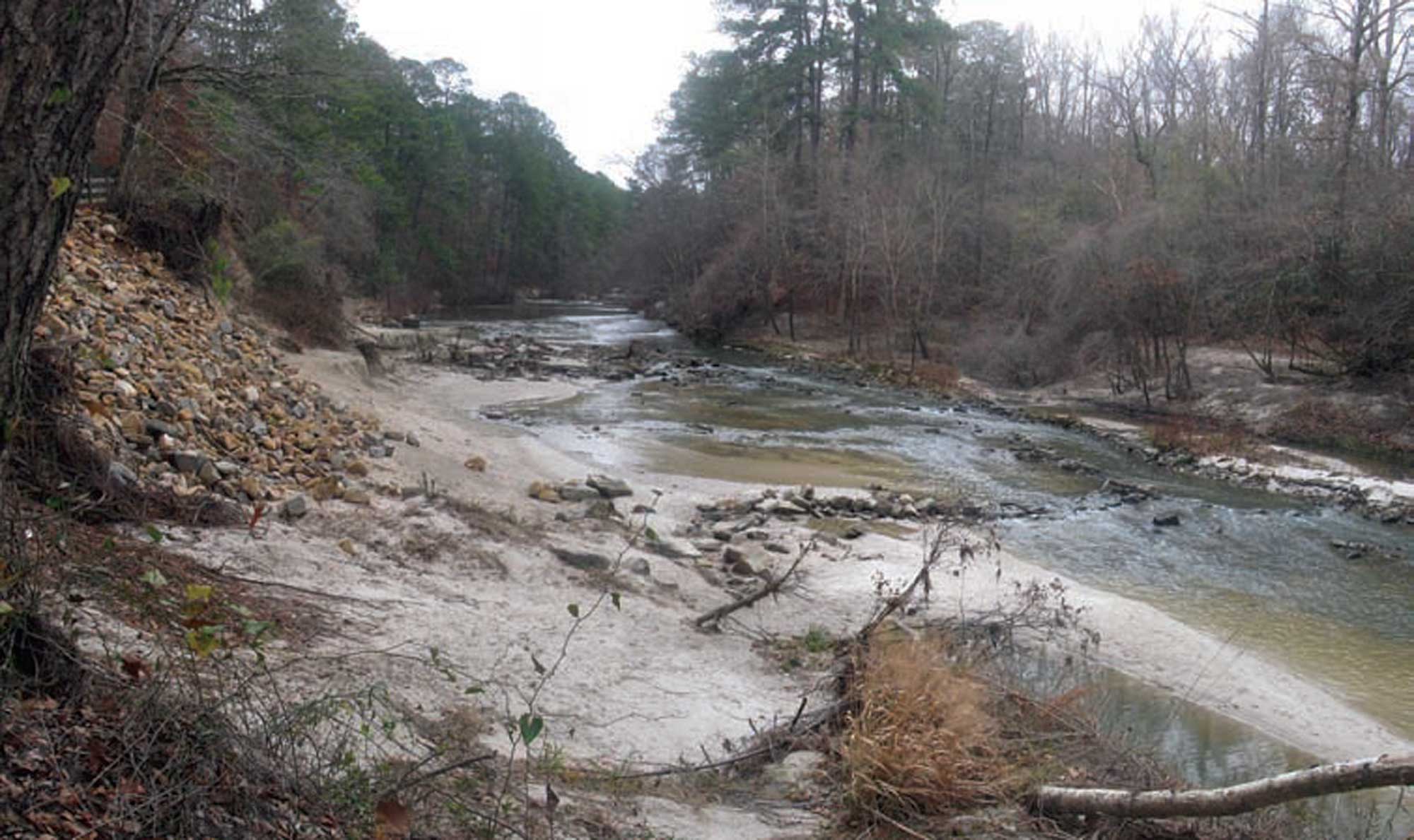 Photograph of a river cutting through sedimentary rock in Kisatchie National Forest, Louisiana.