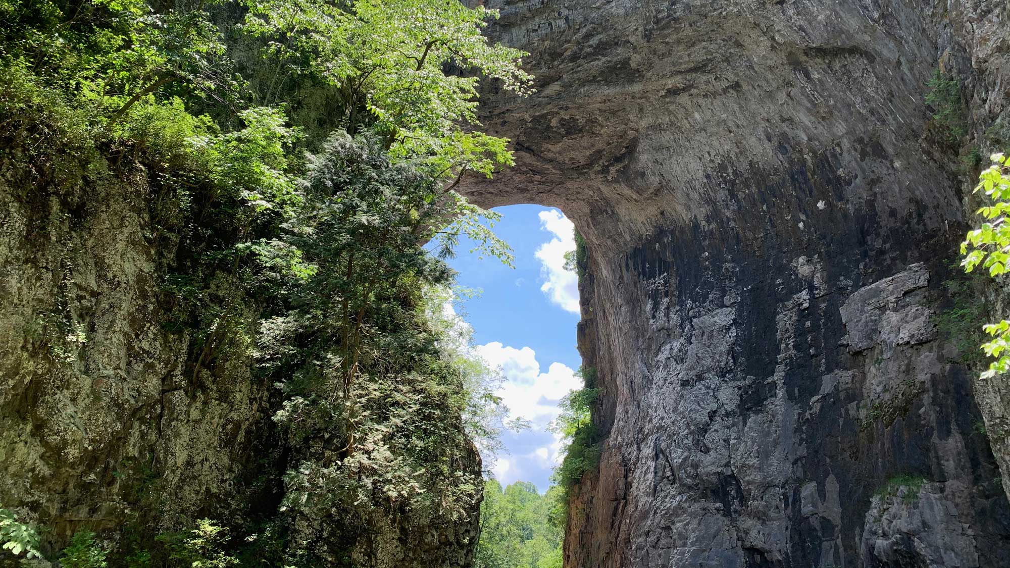 Photograph of Natural Bridge, a natural arch formed in Ordovician dolomite by erosion.
