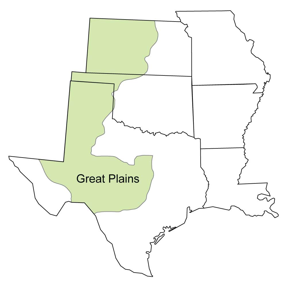Simple map showing the Great Plains region of the South Central United States, including portions of Texas, Oklahoma, and Kansas.