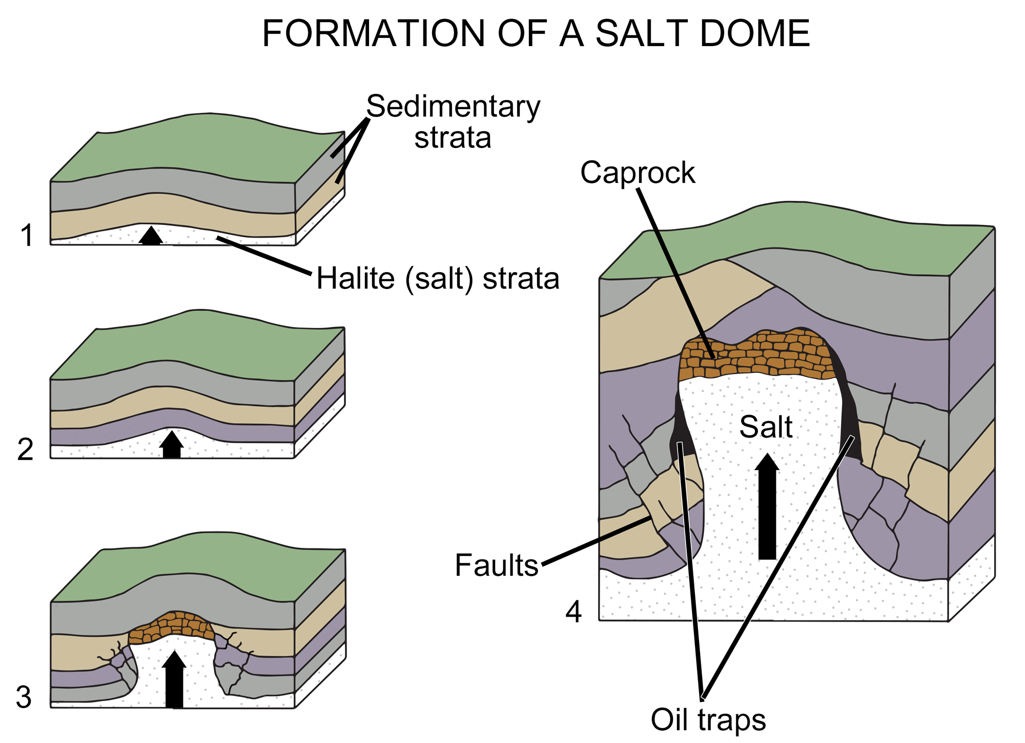 Diagram showing the stages in the formation of a salt dome and associated oil traps.