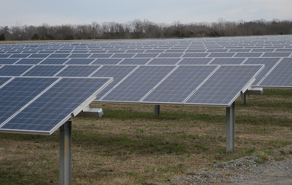 Photograph of solar panels with leafless trees in the background. Photo taken in Memphis, Tennessee.