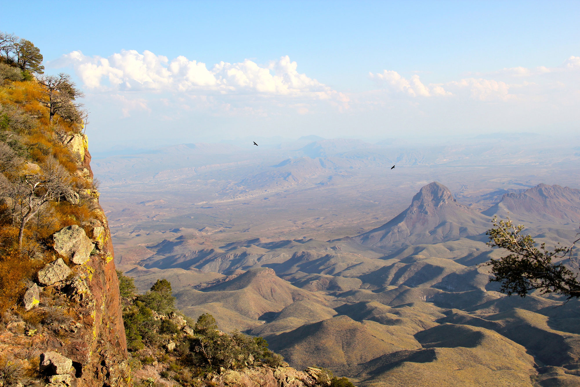 Photograph of the Chihuahuan desert in Texas as viewed from the Chisos Mountains. The landscape has hills and a prominent peak, all of which appear to have the scrubby vegetation of a semi-arid to arid environment.