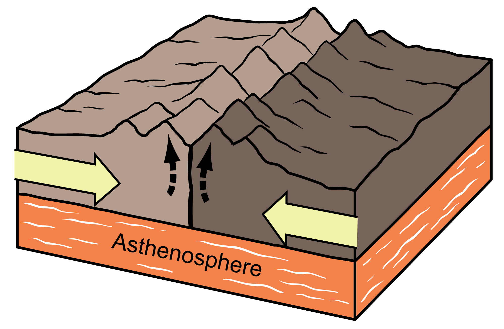 Diagram showing a convergent boundary formed by the collision of two continental crusts. Mountains uplift where the plates collide.