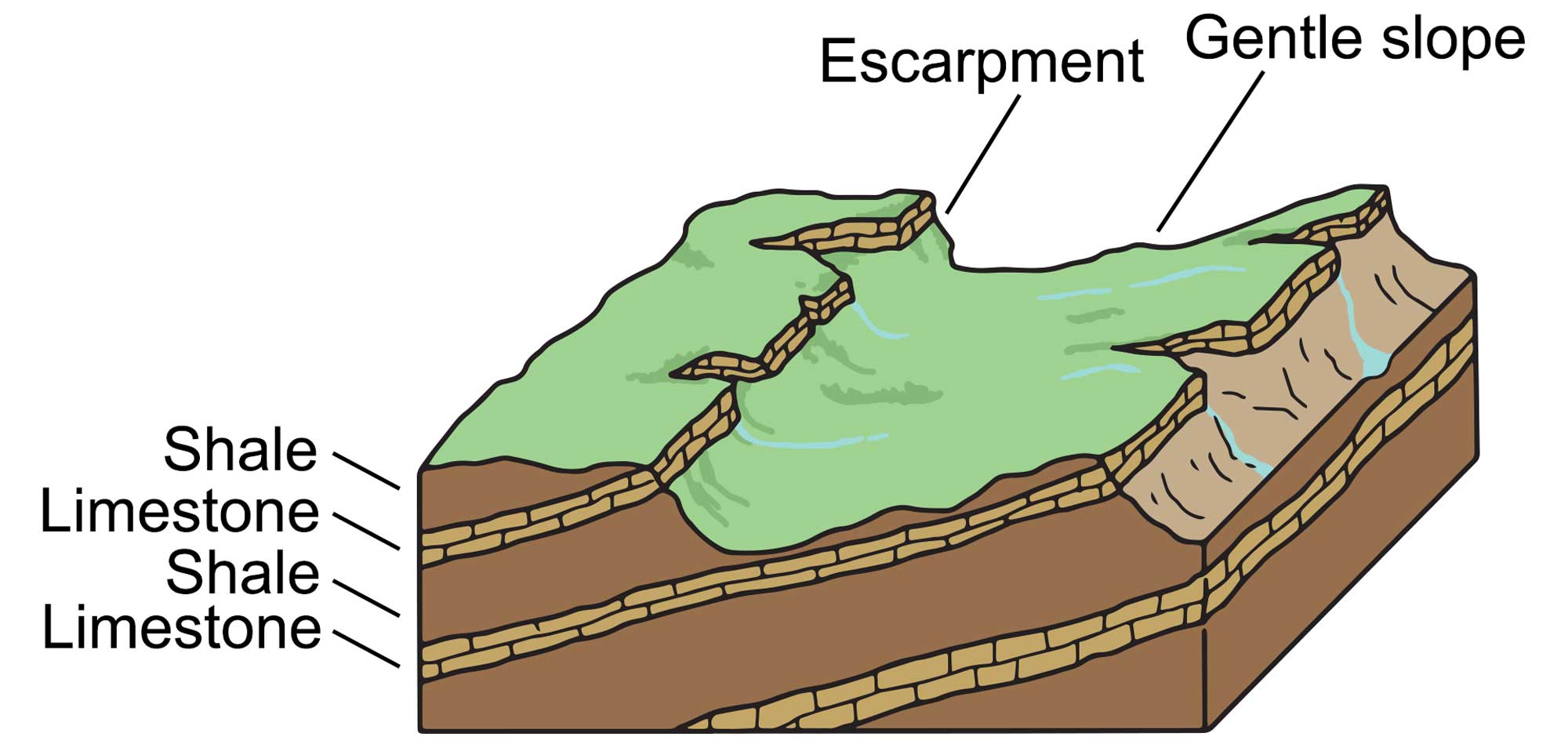 Simple illustration depicting a cross-section through a series of cuestas formed by alternating layers of dipping soft shales and hard limestones, which form escarpment ridges in the topography.