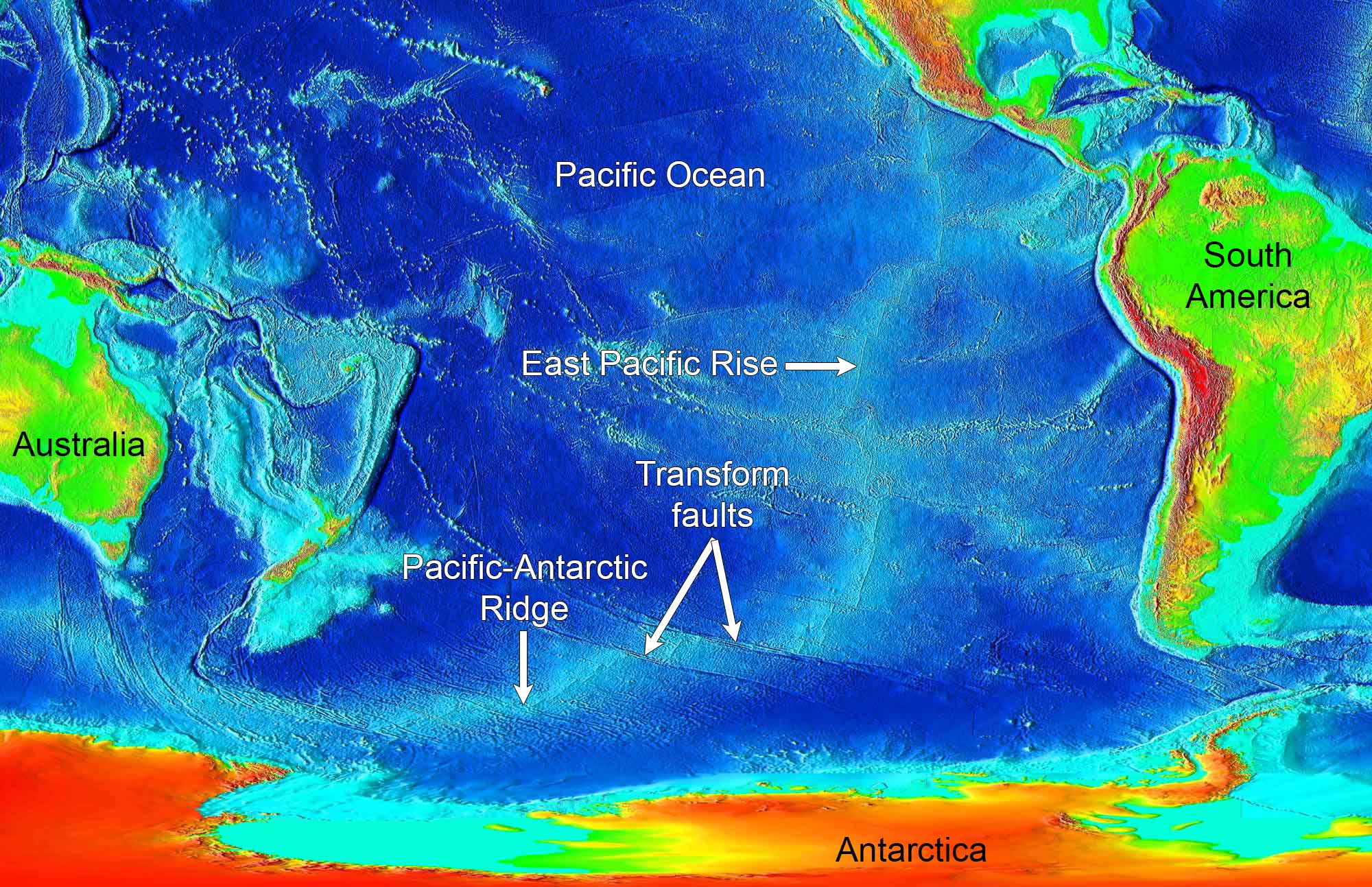 Relief map of the southern Pacific Ocean showing the East Pacific Rise to the west of South America and the contiguous Pacific-Antarctic Ridge paralleling Antarctica. These spreading centers are made up of diverging and transform boundaries, giving them a stair-step appearance.