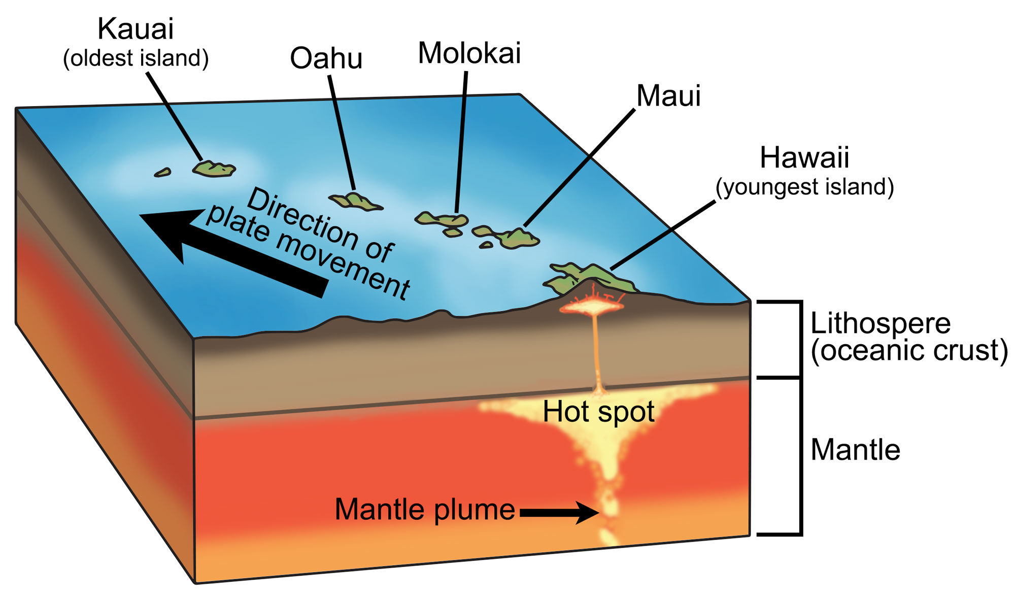 Diagram showing a cutaway view of the Earth's crust and mantle under the Hawaiian Islands. A hot spot wells up from deep in the mantle under the island of Hawaii, causing volcanism. Islands progress from younger to older further from the hot spot.