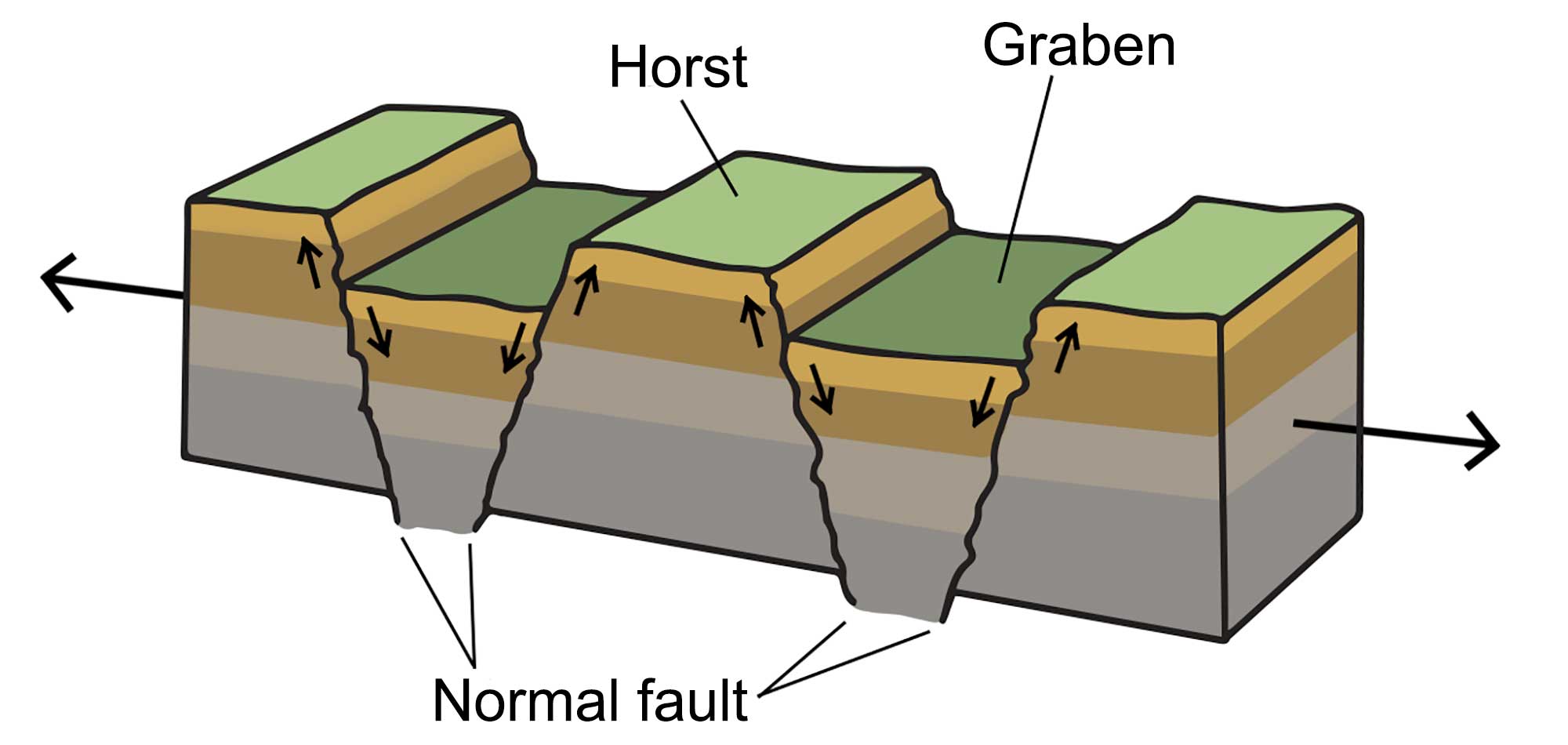 Illustration that shows how a horst and graben landscape forms when the crust stretches and faulting occurs.