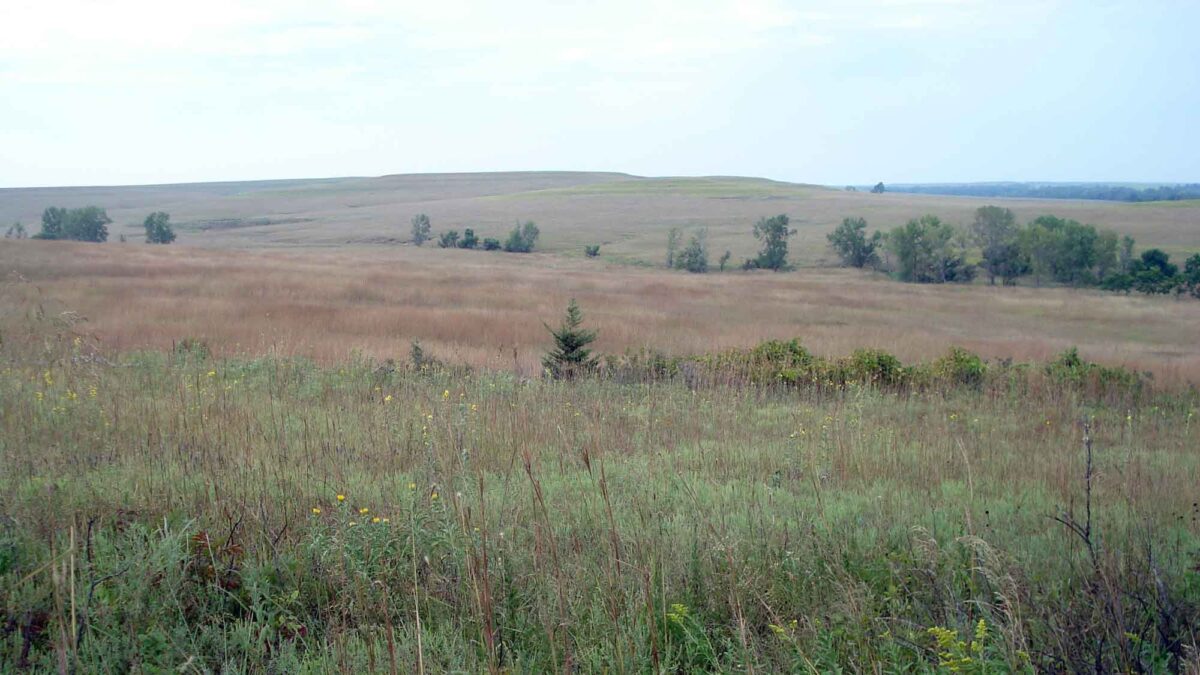 Photograph of the Flint Hills at the Tallgrass Prairie National Preserve in Kansas.