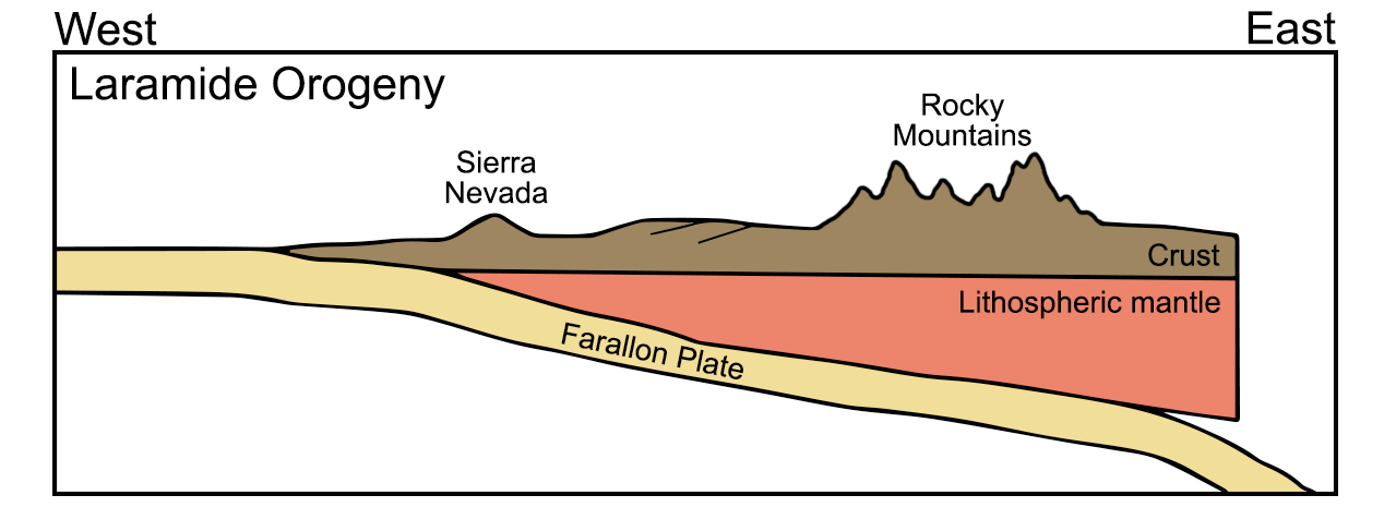 Diagram of the Laramide Orogeny. West is on the left, east on the right. The diagram is a cross-section of the Earth's surface showing the Farallon Plate subducting shallowly beneath the North American Plate. Near the subduction zone, the Sierra Nevada mountains are on the western margin of North America. The Rocky Mountains have been uplifted further inland (east).
