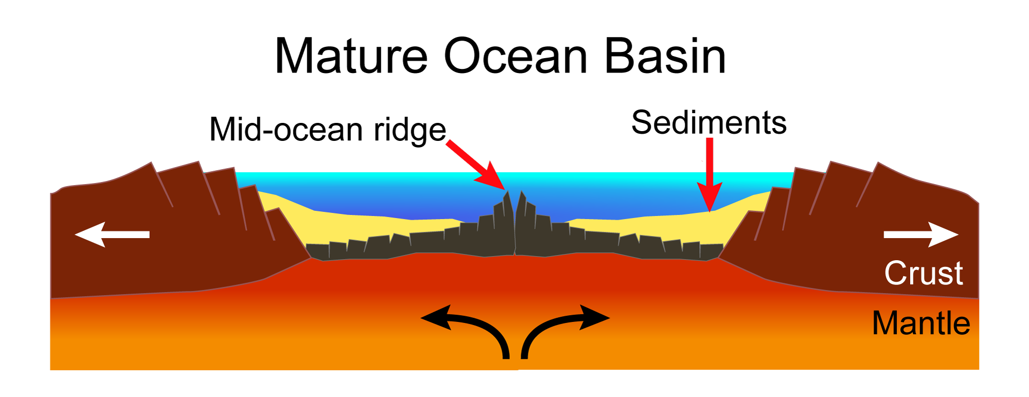 Diagram of a mature ocean basin. In this diagram, the continents are far apart and moving away from each other. A spreading center or Mid-ocean ridge is in the center of the ocean forming new ocean crust. Sediments accumulate on the ocean floor.