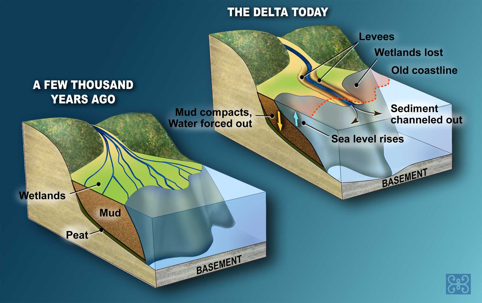 Diagram showing the structure of the Mississippi Delta before and after the enactment of coastal management programs.