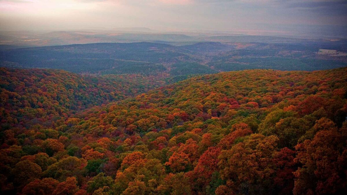 Photograph of the Ozark Mountains from the top of Mount Magazine, Arkansas.