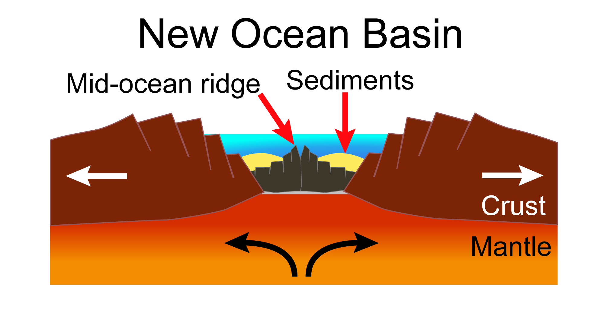 Diagram showing the formation of a new ocean basin. In this diagram, a rift that formed in a continent has ruptured, and seawater has filled the opening. Oceanic crust begins to form in the spreading center in the rift. Sediment accumulate on the ocean floor.