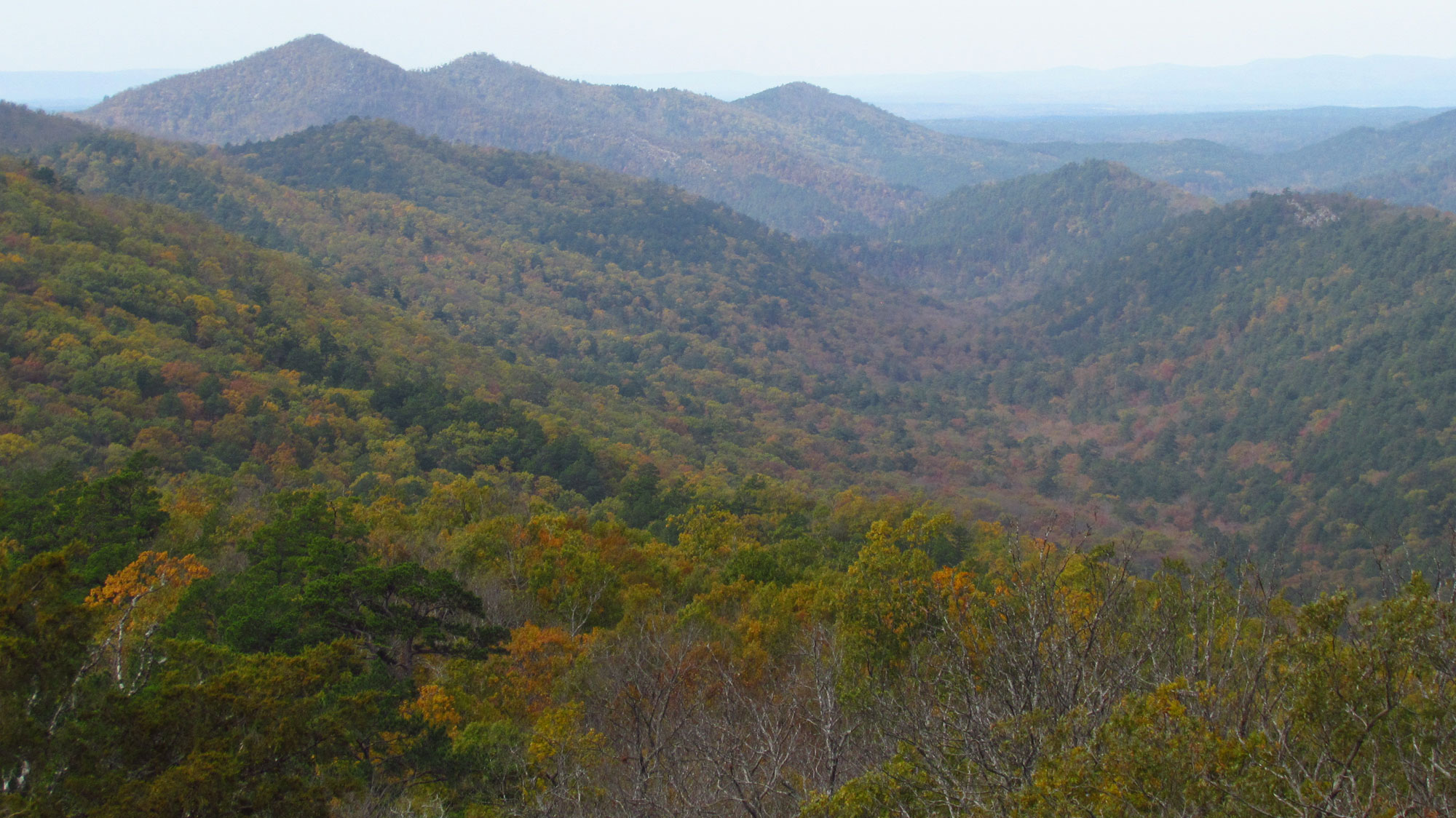 Photo of the Ouachita Mountains, Arkansas. Photo shows rolling mountains covered with a mix of broadleaves and coniferous trees. Coloring of some of the leaves suggests that it is fall.