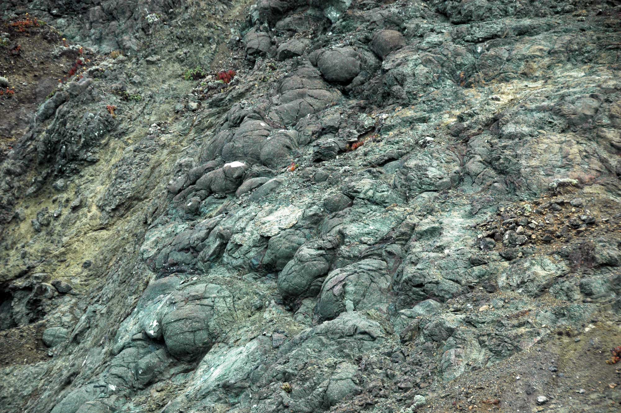 Photograph of pillow basalts in California. The rock is greenish with clear rounded "pillows" indicating its origin on the ocean floor.